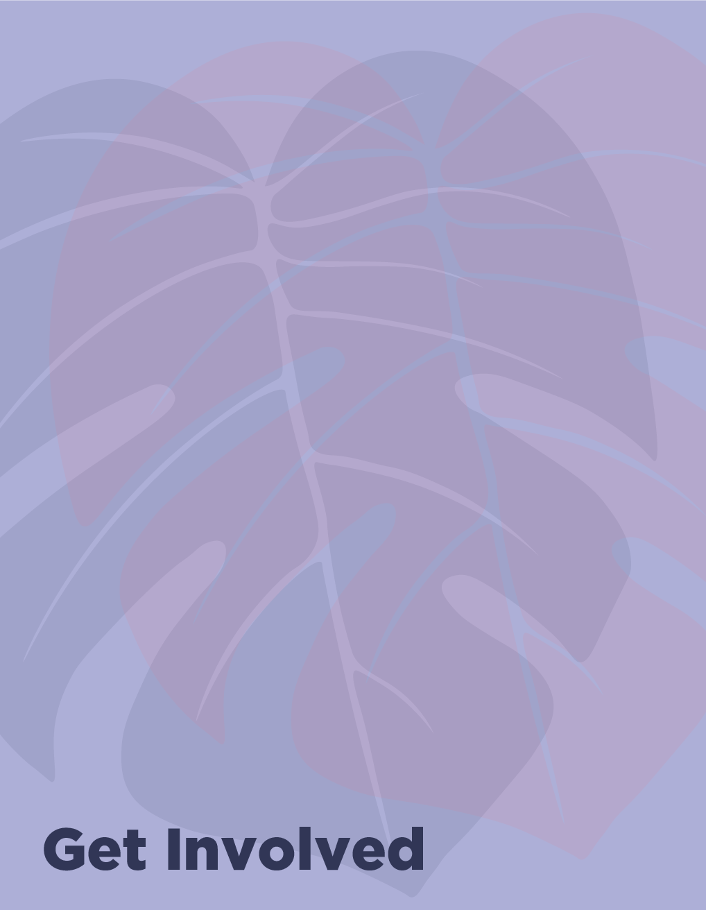 11-18-20_HawaiiKidsCAN_TraumaReportGraphics_V1-13